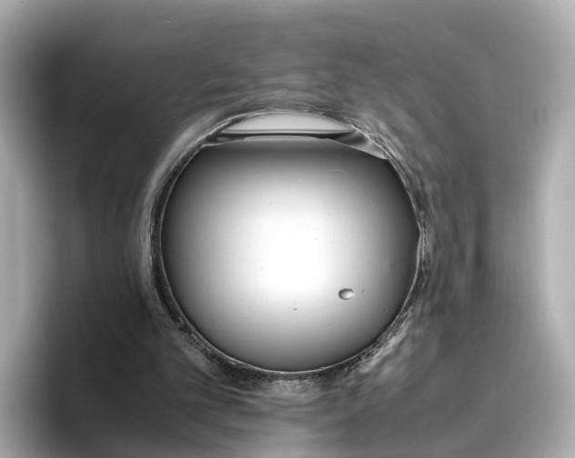 X0000096650101200802261329