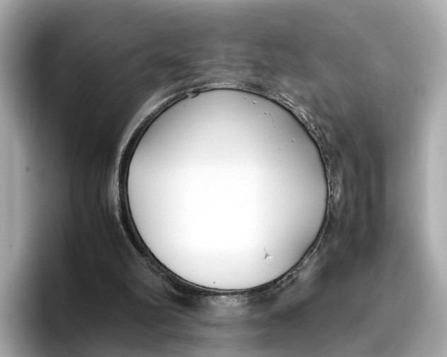 X0000096650102200802261329