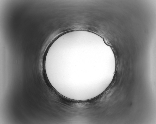 X0000096650103200802261329