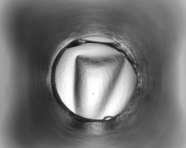 X0000096650104200802261329