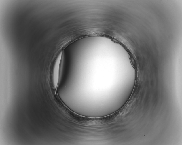 X0000096650105200802261329