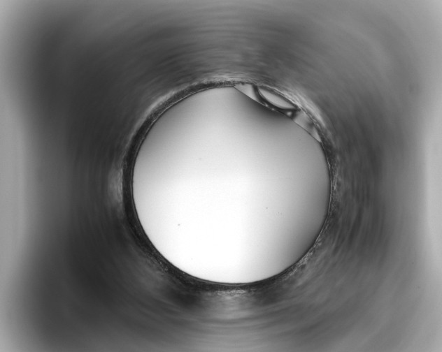 X0000096650108200802261329