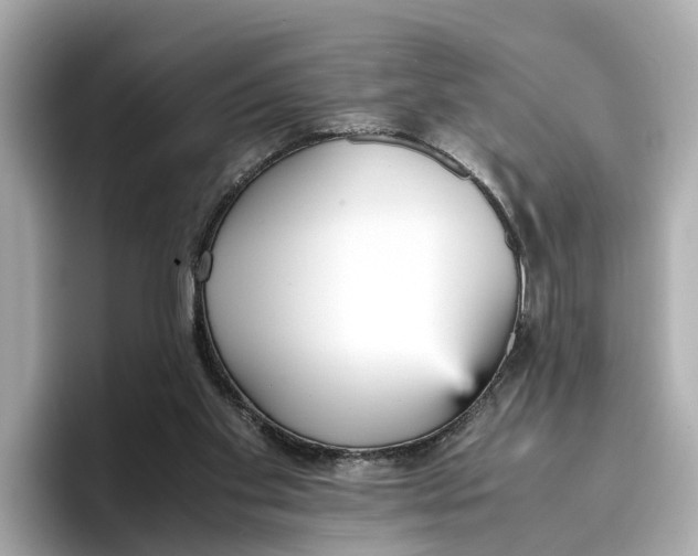 X0000096650109200802261329