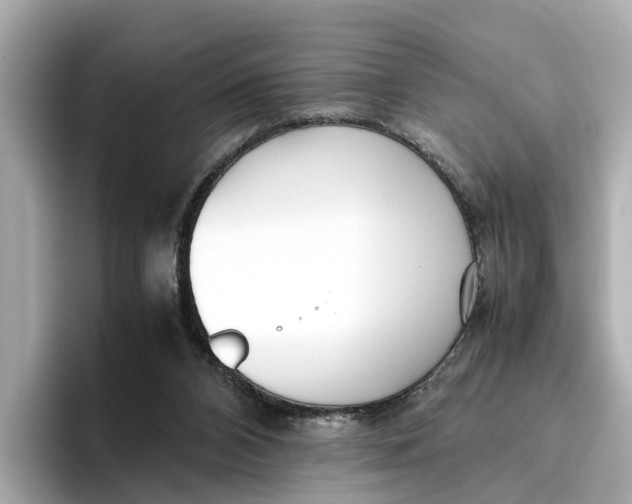 X0000096650112200802261329