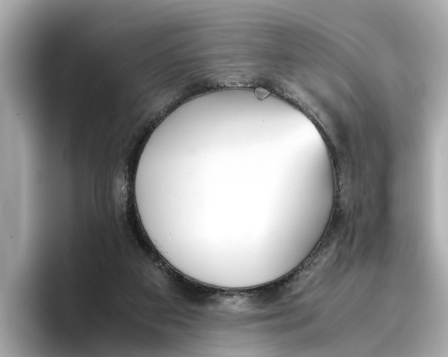 X0000096650113200802261329