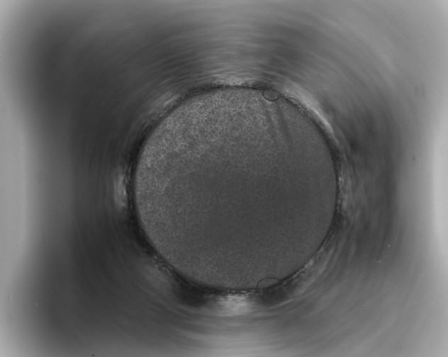 X0000096650114200802261329