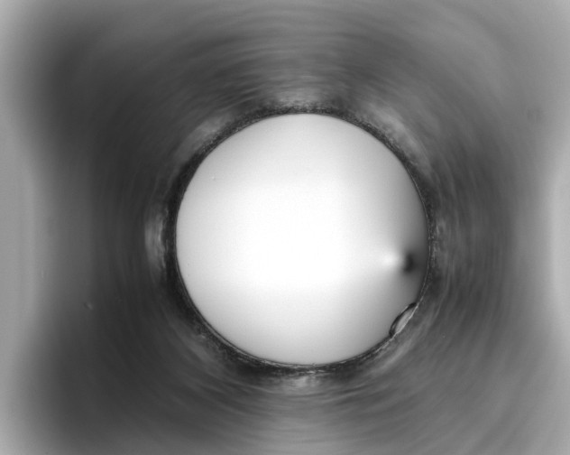 X0000096650116200802261329