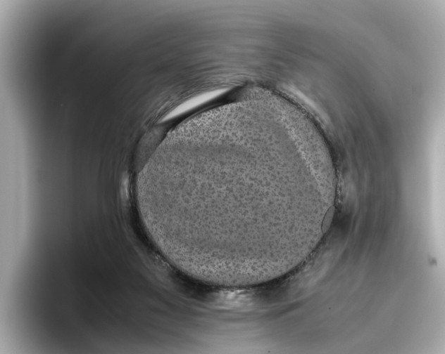 X0000096650117200802261329