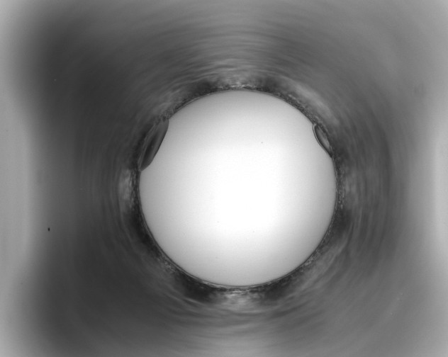 X0000096650121200802261329