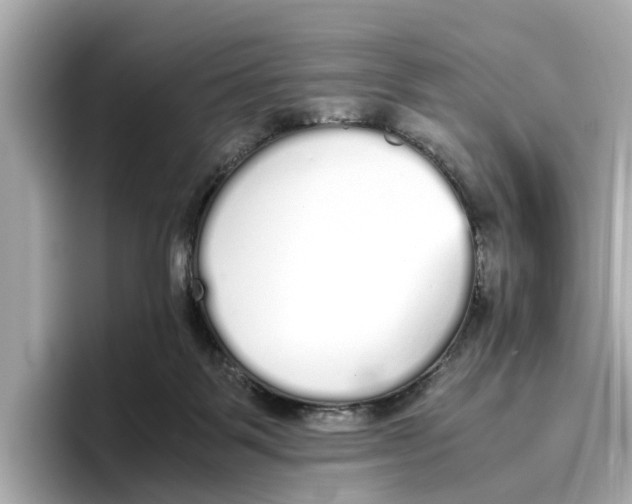 X0000096650123200802261329