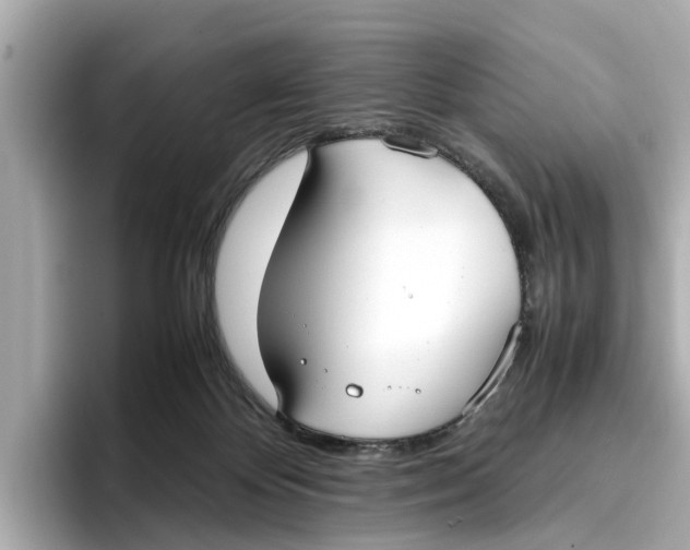 X0000096650124200802261329