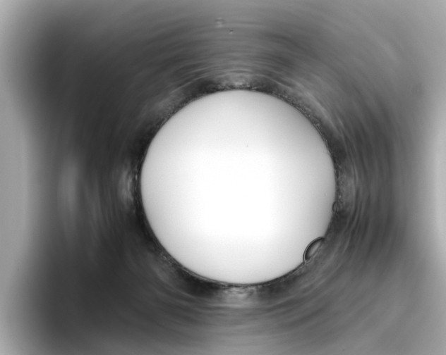 X0000096650126200802261329