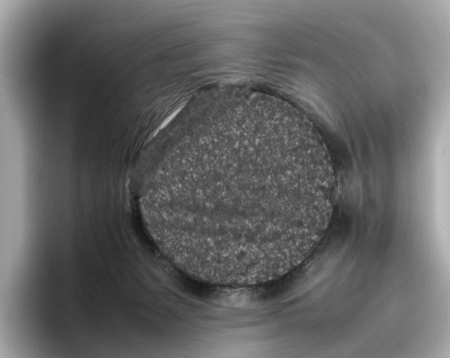 X0000096650127200802261329