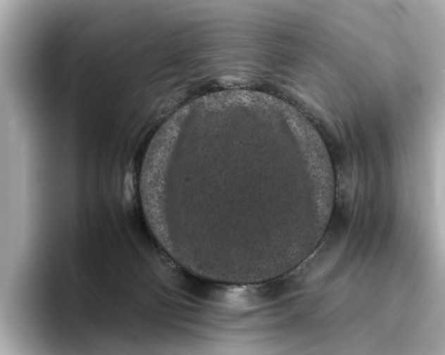 X0000096650130200802261329