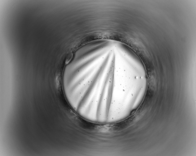 X0000096650131200802261329