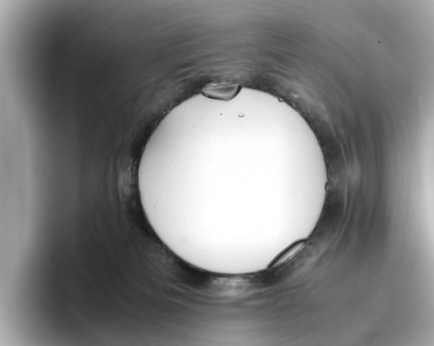 X0000096650133200802261329