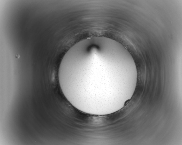 X0000096650134200802261329