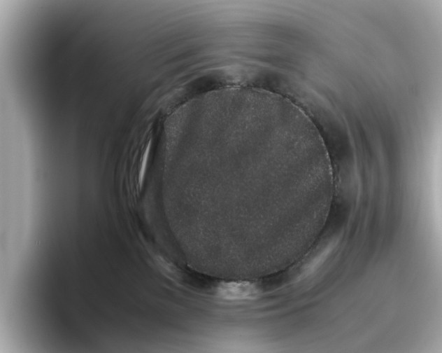 X0000096650137200802261329