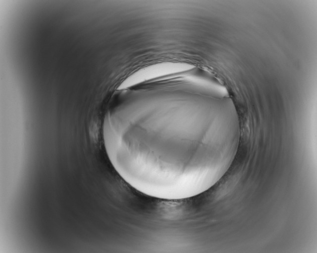 X0000096650139200802261329