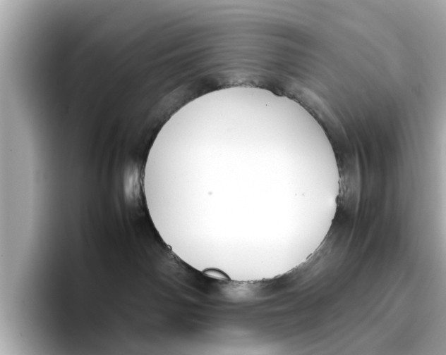 X0000096650142200802261329