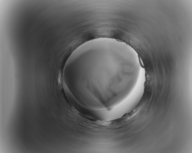 X0000096650143200802261329