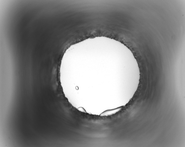 X0000096650144200802261329