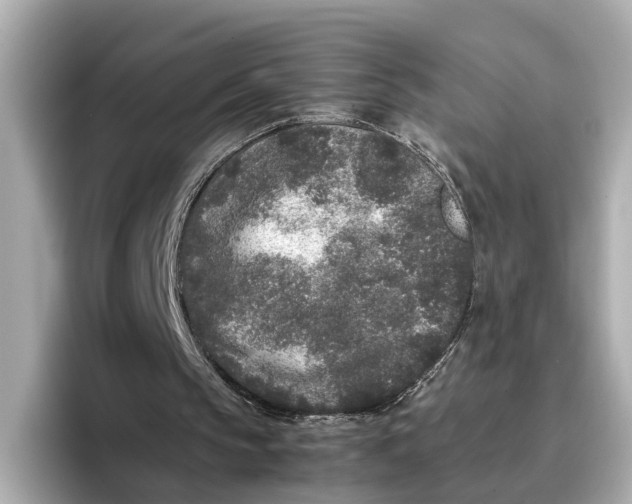 X0000096650145200802261328