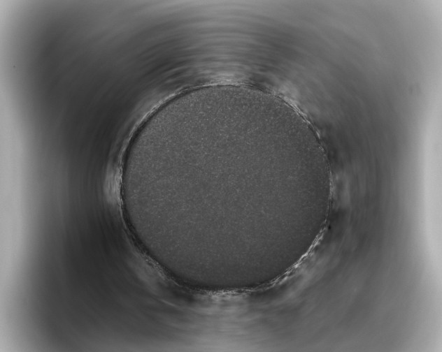 X0000096650146200802261328