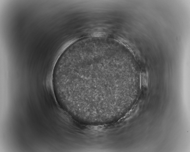 X0000096650147200802261328