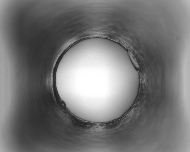 X0000096650148200802261328