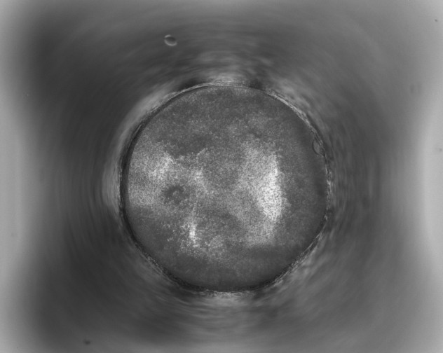 X0000096650149200802261328