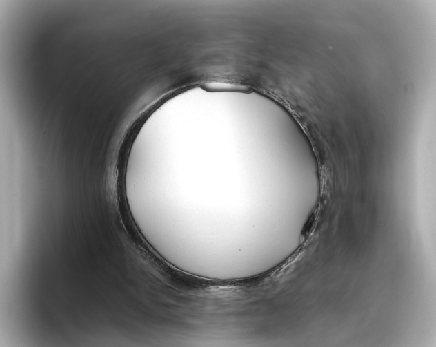 X0000096650150200802261328