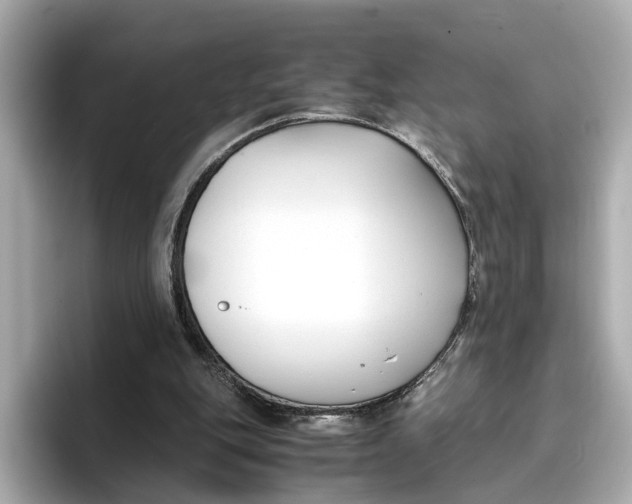 X0000096650151200802261328