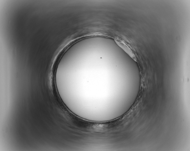 X0000096650152200802261328