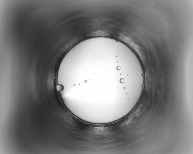 X0000096650153200802261328