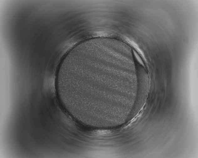 X0000096650154200802261328