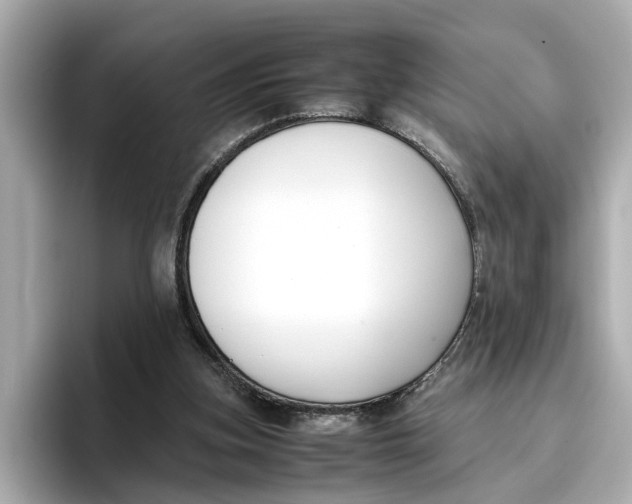 X0000096650155200802261328