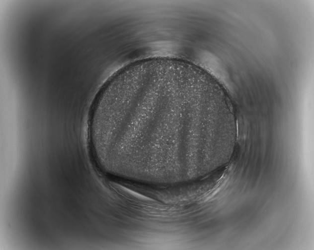 X0000096650156200802261328