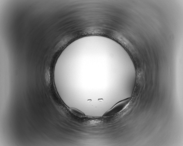 X0000096650158200802261328