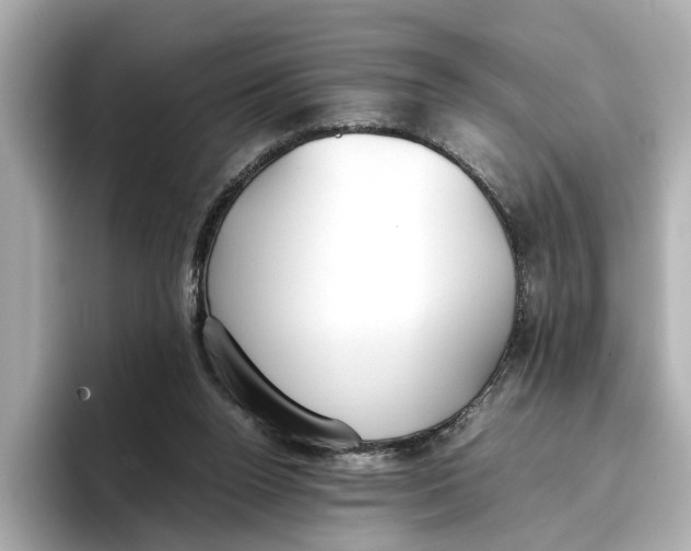 X0000096650160200802261328