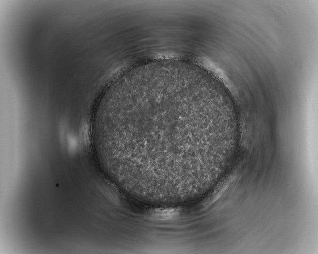 X0000096650161200802261328