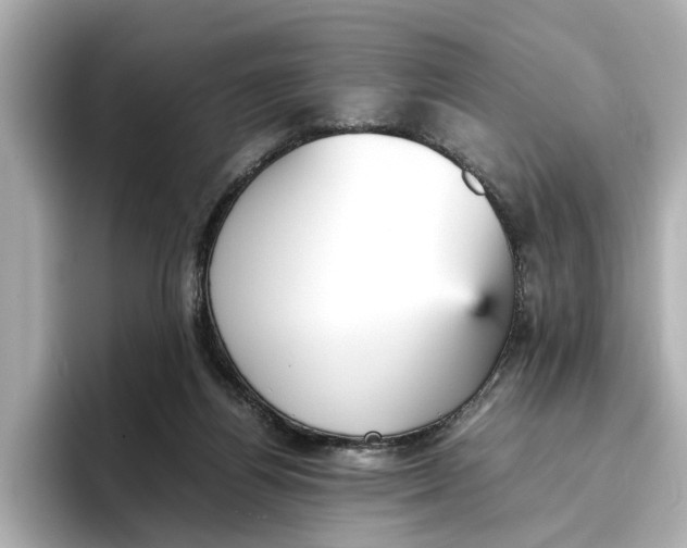 X0000096650164200802261328