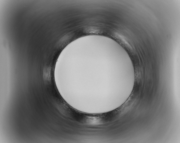 X0000096650167200802261328