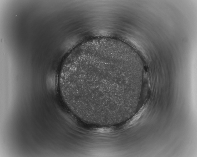 X0000096650168200802261328