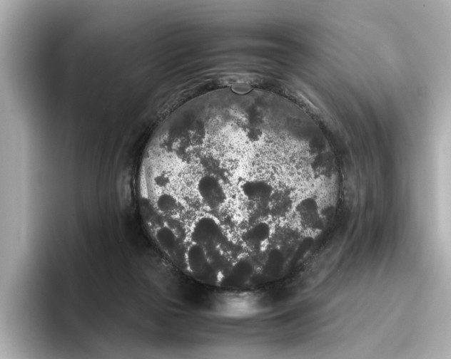 X0000096650169200802261328