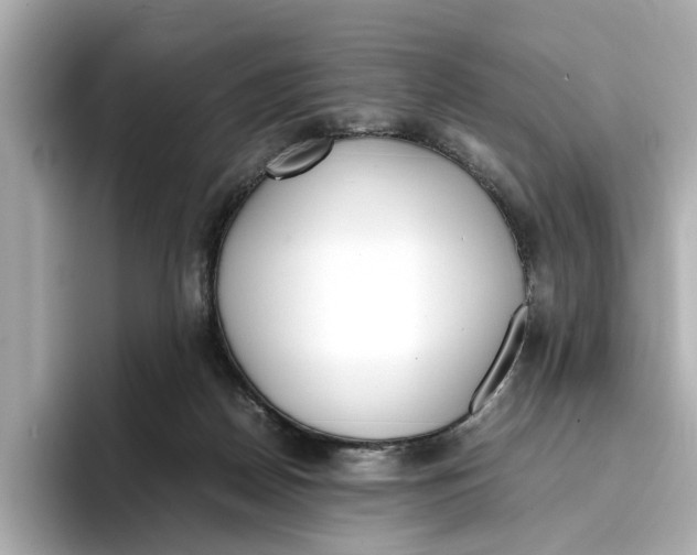 X0000096650170200802261328