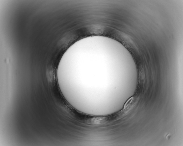 X0000096650172200802261328