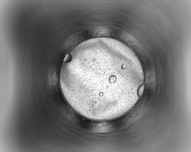 X0000096650173200802261328