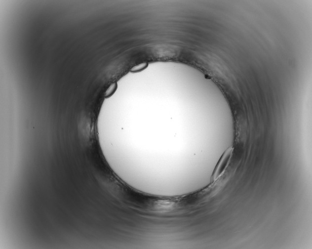 X0000096650176200802261328