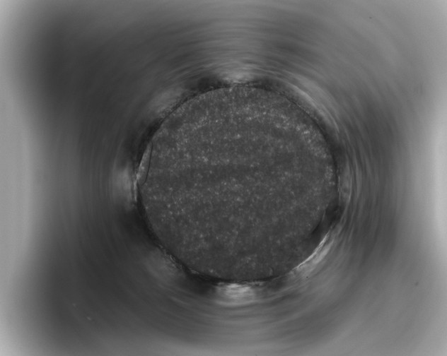 X0000096650180200802261328